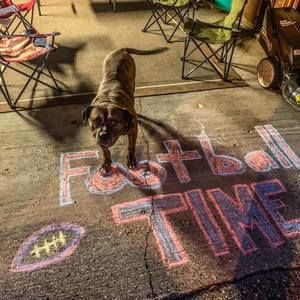 Meet your Posher, Shane